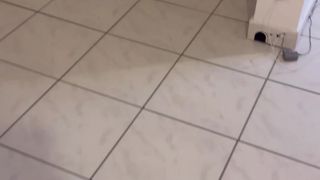 Vérifiez votre âge