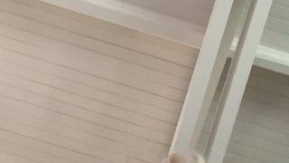 Vérifiez votre âge