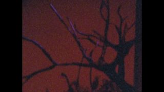 Vérifiez votre âge